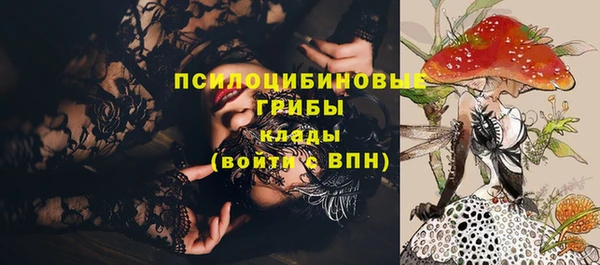 соль ск Алзамай