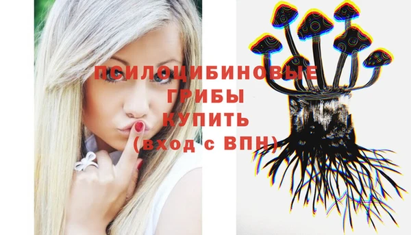 амф Алексин