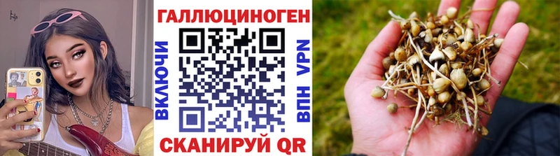 Галлюциногенные грибы мицелий  Бабаево 